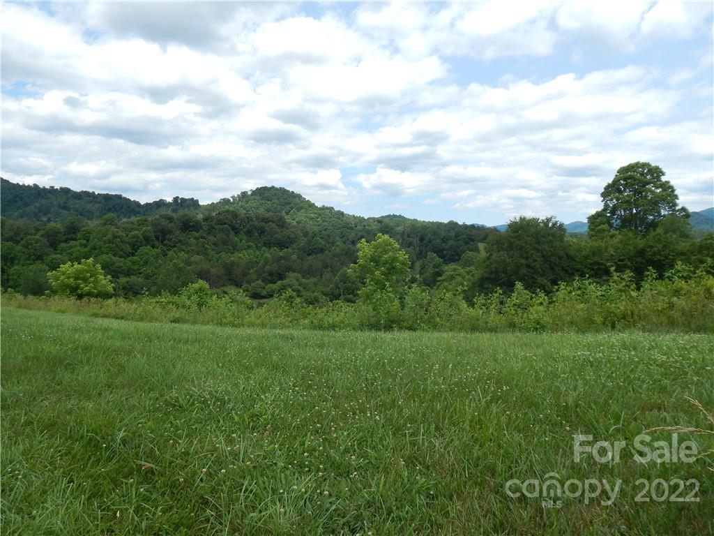 0 Cronin Road Waynesville, NC 28785 - Photo 3 of 21 a view of a big yard with grass and a houses