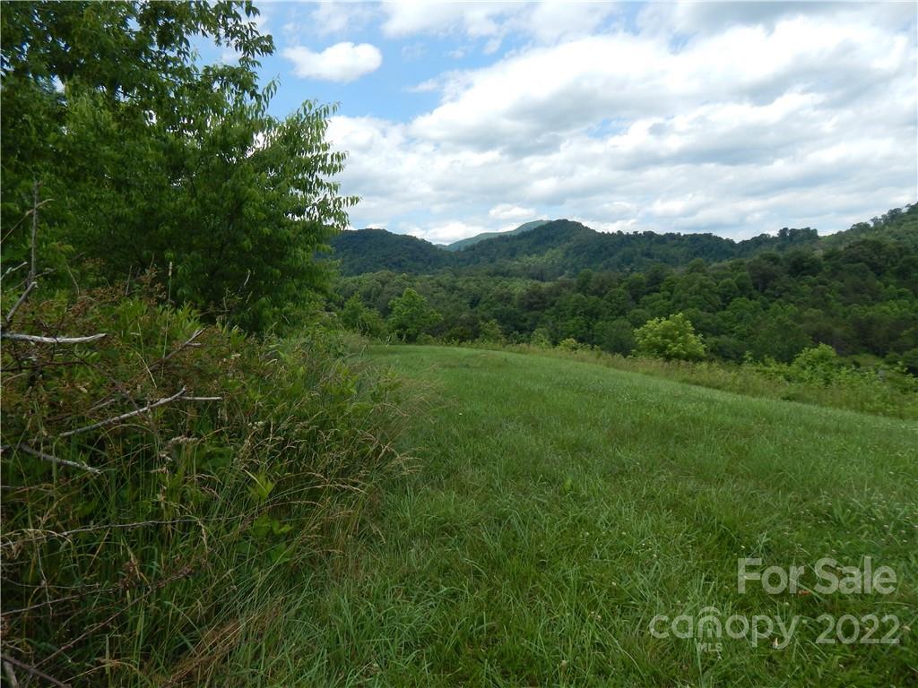 0 Cronin Road Waynesville, NC 28785 - Photo 4 of 21 a view of a lush green forest with lots of trees