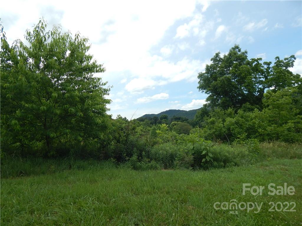 0 Cronin Road Waynesville, NC 28785 - Photo 5 of 21