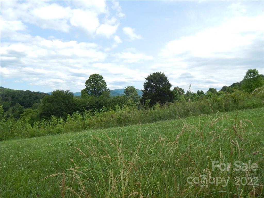 0 Cronin Road Waynesville, NC 28785 - Photo 6 of 21 a view of a lush green space with sea