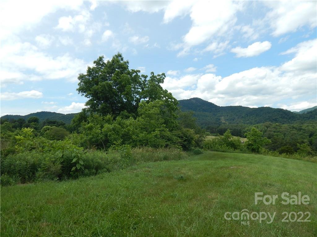 0 Cronin Road Waynesville, NC 28785 - Photo 7 of 21 a view of a field with a tree in the background