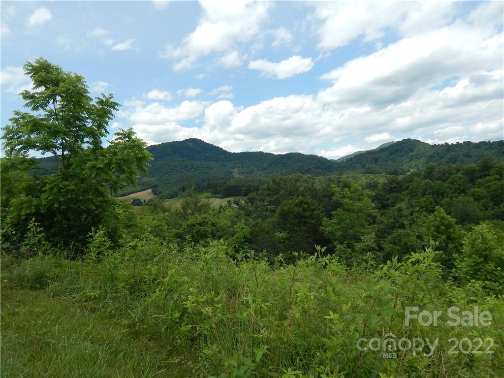 0 Cronin Road Waynesville, NC 28785 - Photo 8 of 21 a view of a mountain in the distance in a field