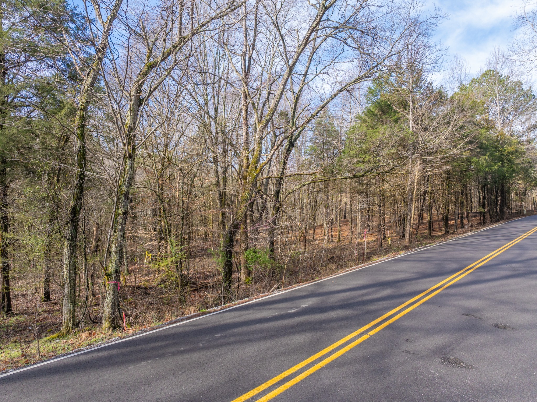 829 Furnace Hollow Road Dickson, TN 37055 - Photo 2 of 8