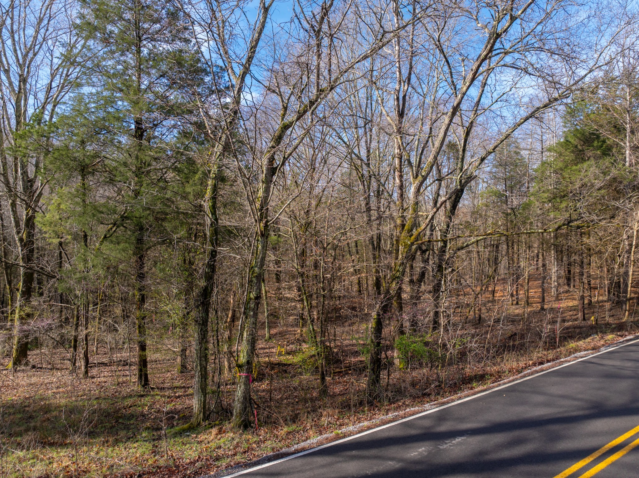 829 Furnace Hollow Road Dickson, TN 37055 - Photo 3 of 8