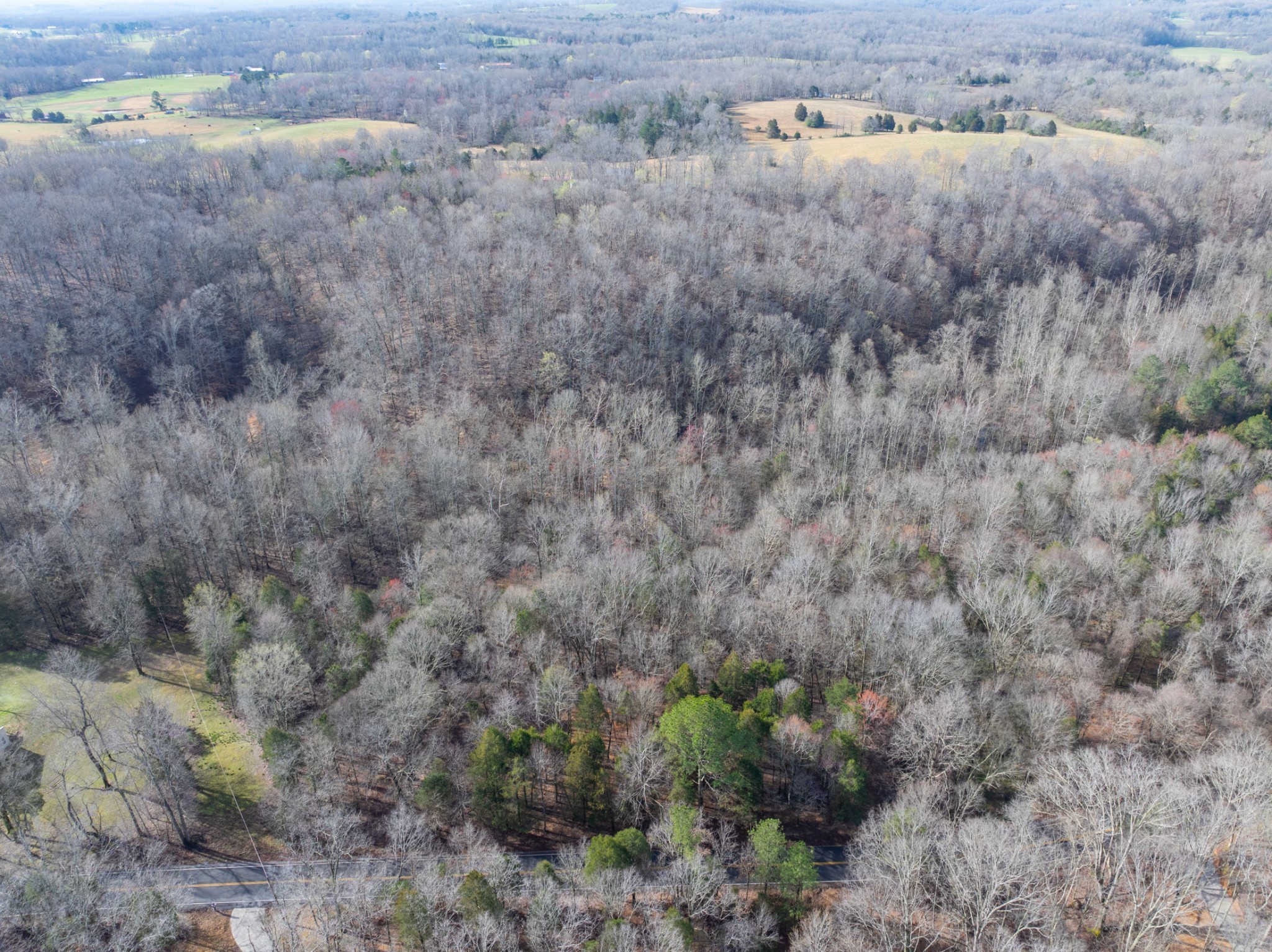 829 Furnace Hollow Road Dickson, TN 37055 - Photo 4 of 8