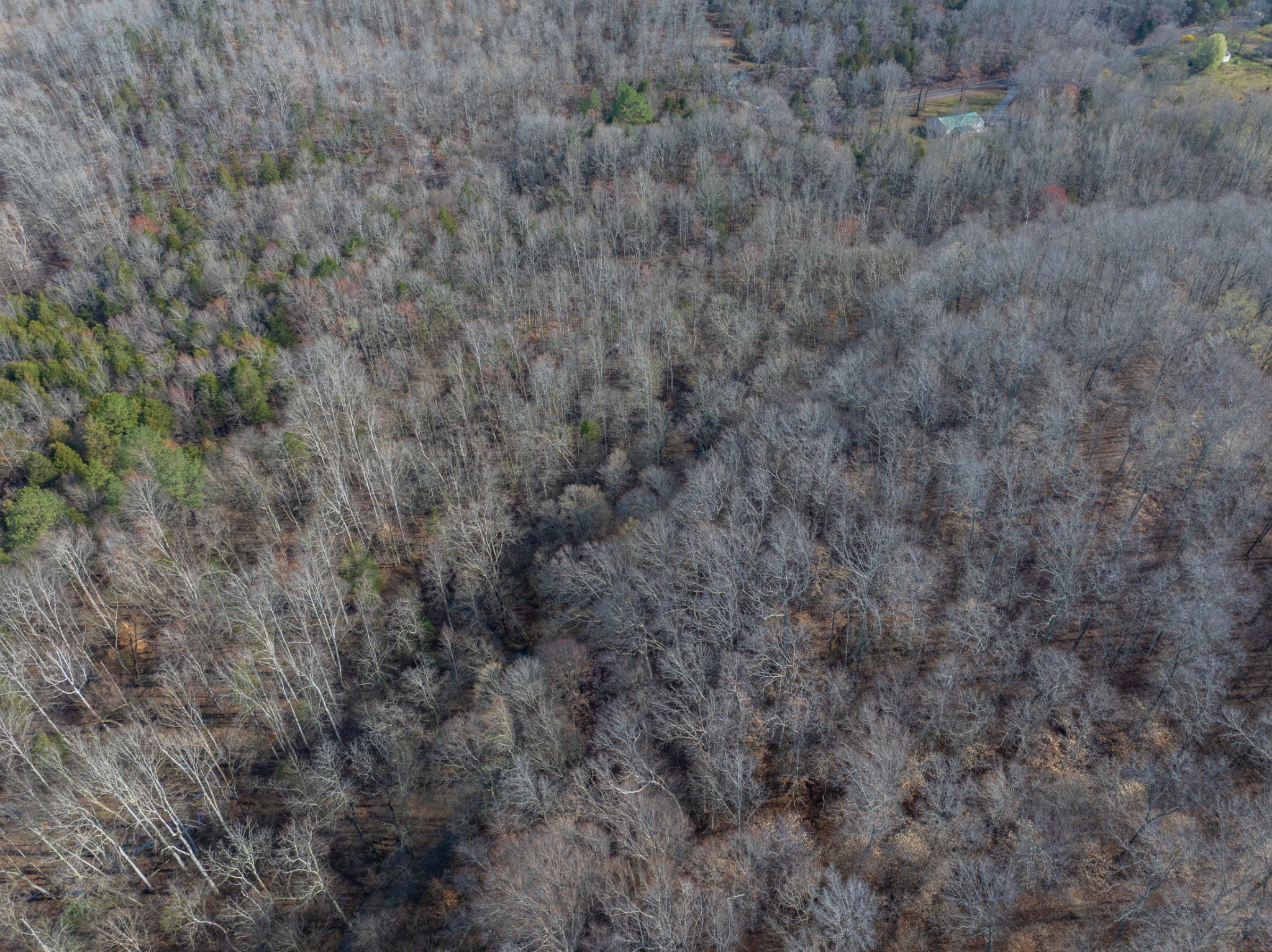 829 Furnace Hollow Road Dickson, TN 37055 - Photo 5 of 8