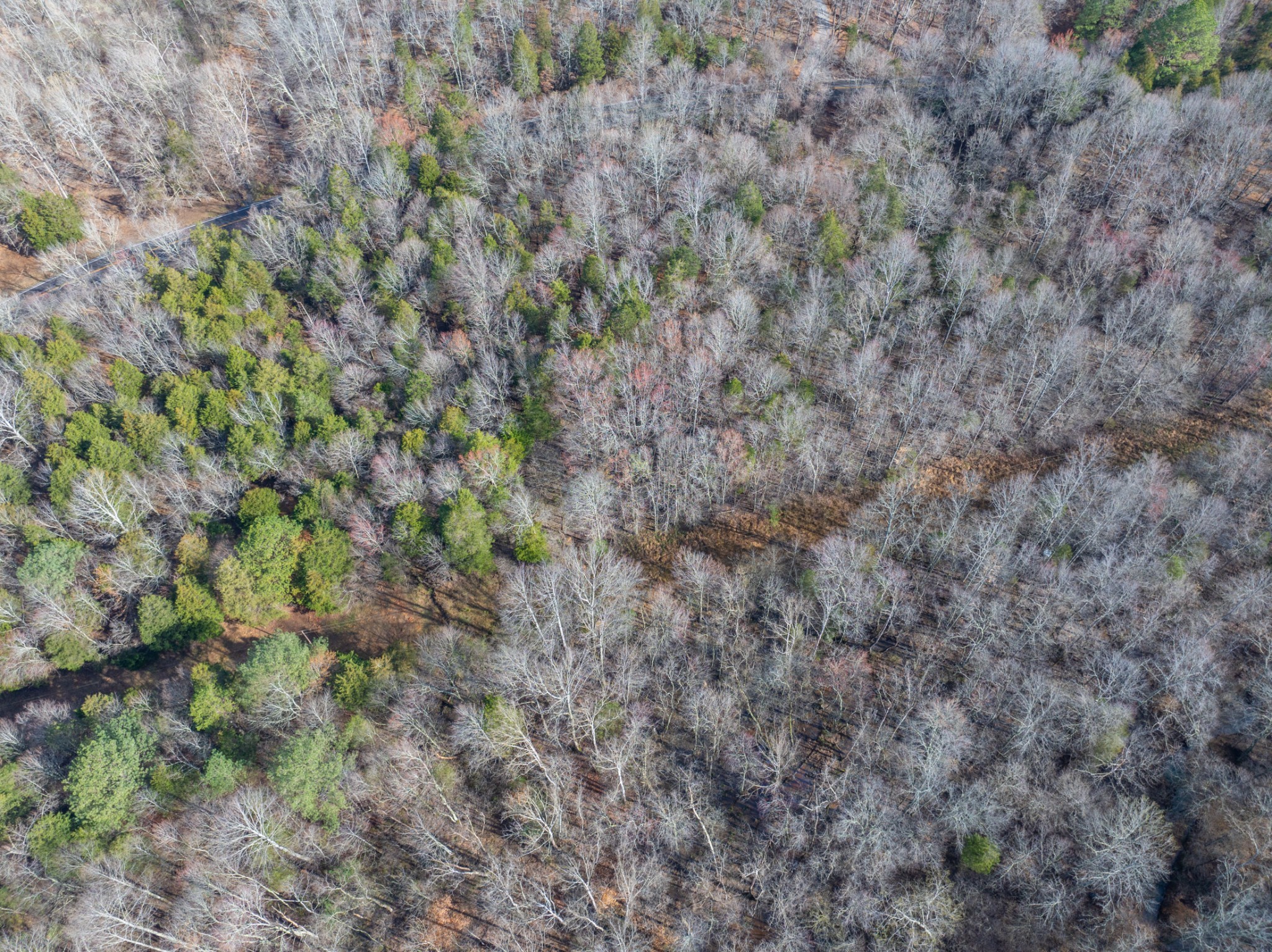 829 Furnace Hollow Road Dickson, TN 37055 - Photo 6 of 8