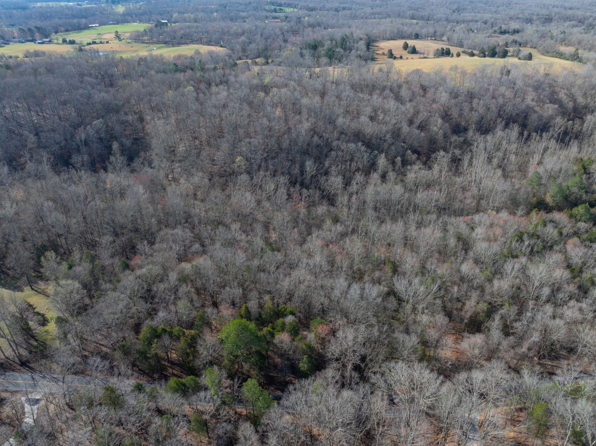 829 Furnace Hollow Road Dickson, TN 37055 - Photo 7 of 8