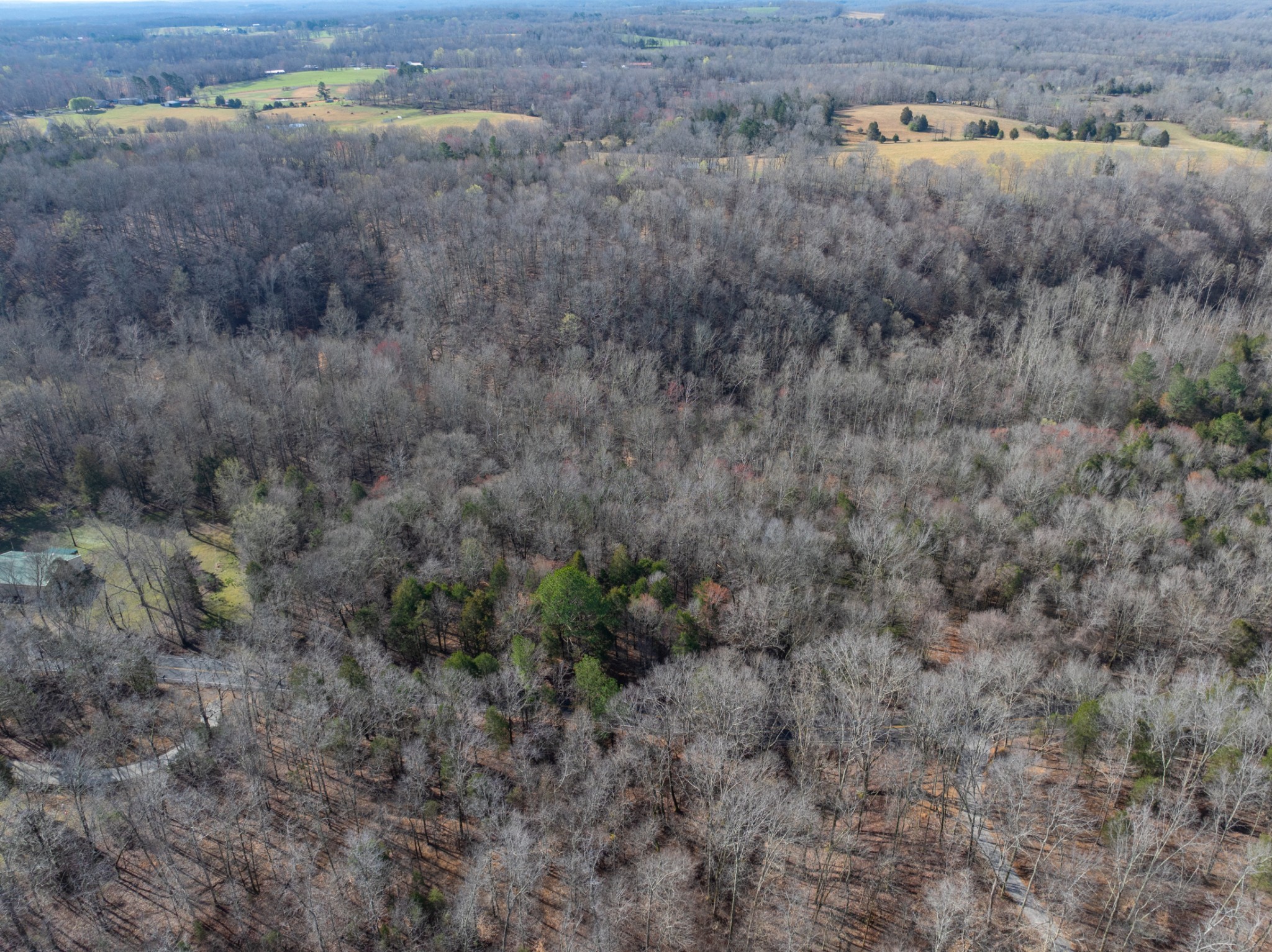 829 Furnace Hollow Road Dickson, TN 37055 - Photo 8 of 8