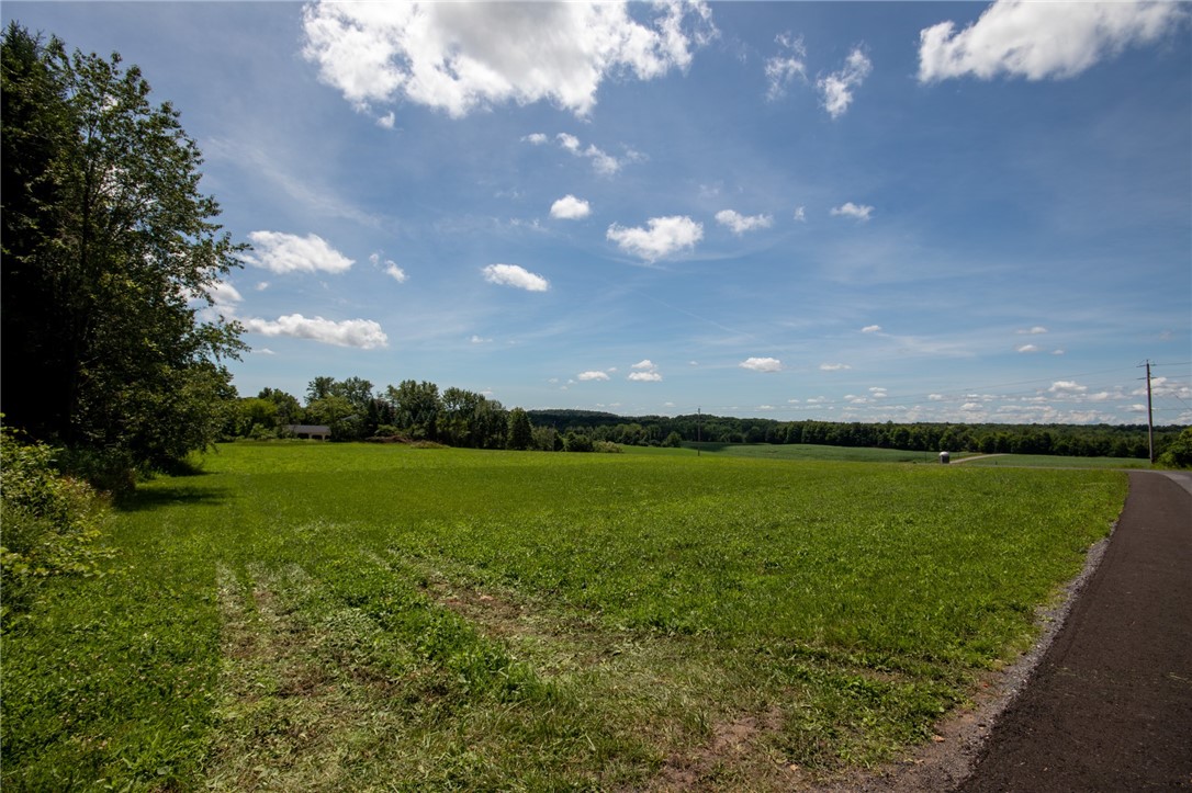 0 Desmith Road Arcadia, NY 14513 - Photo 11 of 15