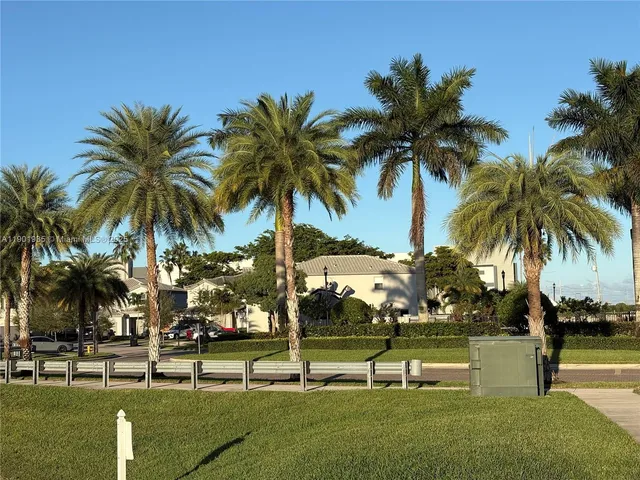 a view of outdoor space with palm trees