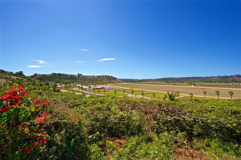 6827 Alydar Corte Del Mar, CA 92014 - Photo 24 of 24