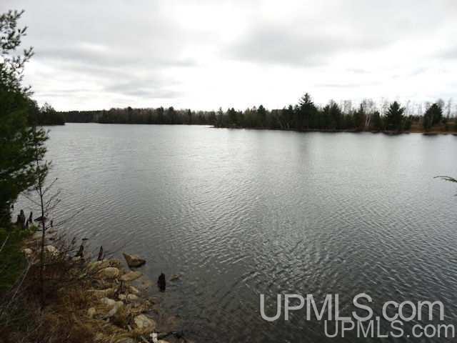 40-acres Perch Lake Road Champion, MI 49814 - Photo 2 of 11