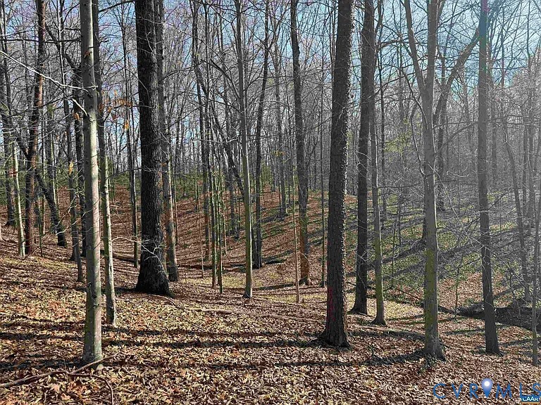 0 Paynes Pond Road Scottsville, VA 24590 - Photo 29 of 44
