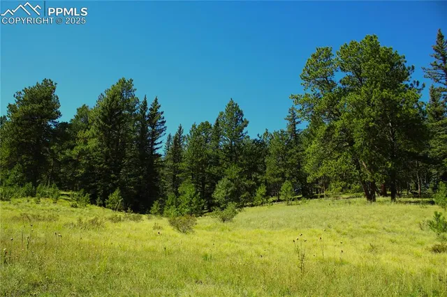 $750,000 | 6500 County Road 5, Divide, CO 80814