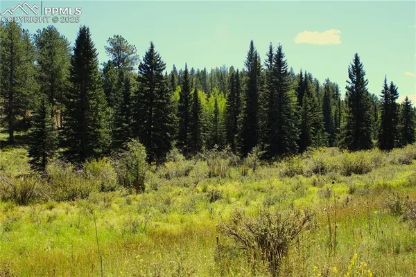 a view of swimming pool from a yard