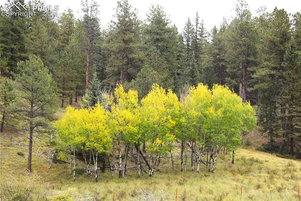 a view of a lake view