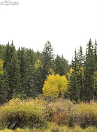 $750,000 | 6500 County Road 5, Divide, CO 80814