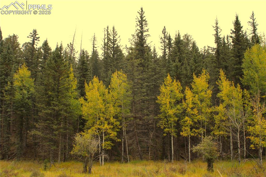 6500 County Road 5 Divide, CO 80814 - Photo 16 of 16 a view of a lake view