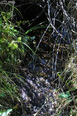 a view of swimming pool