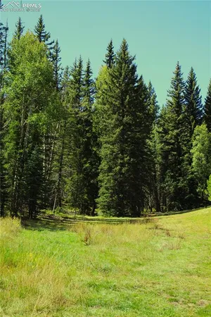 a view of swimming pool from a yard