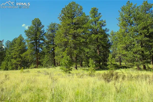 a view of a yard of a house