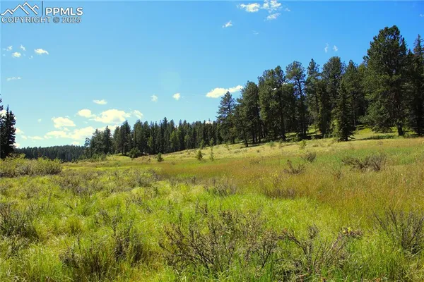 a view of yard with swimming pool