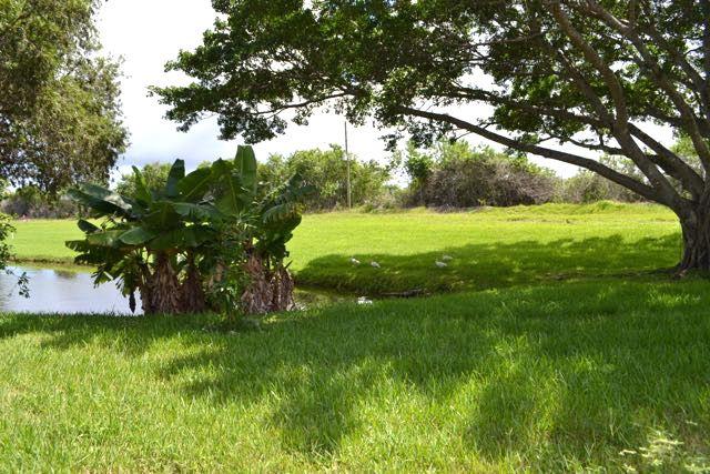 20012 Rima Circle, Unit 20012 Boca Raton, FL 33434 - Photo 25 of 36 DSC_0021