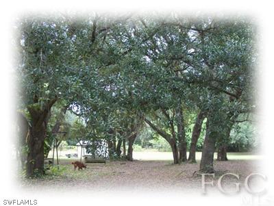 17901 Persimmon Ridge Road Alva, FL 33920 - Photo 1 of 10