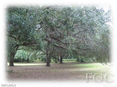 17901 Persimmon Ridge Road Alva, FL 33920 - Photo 9 of 10 a view of a yard with a tree