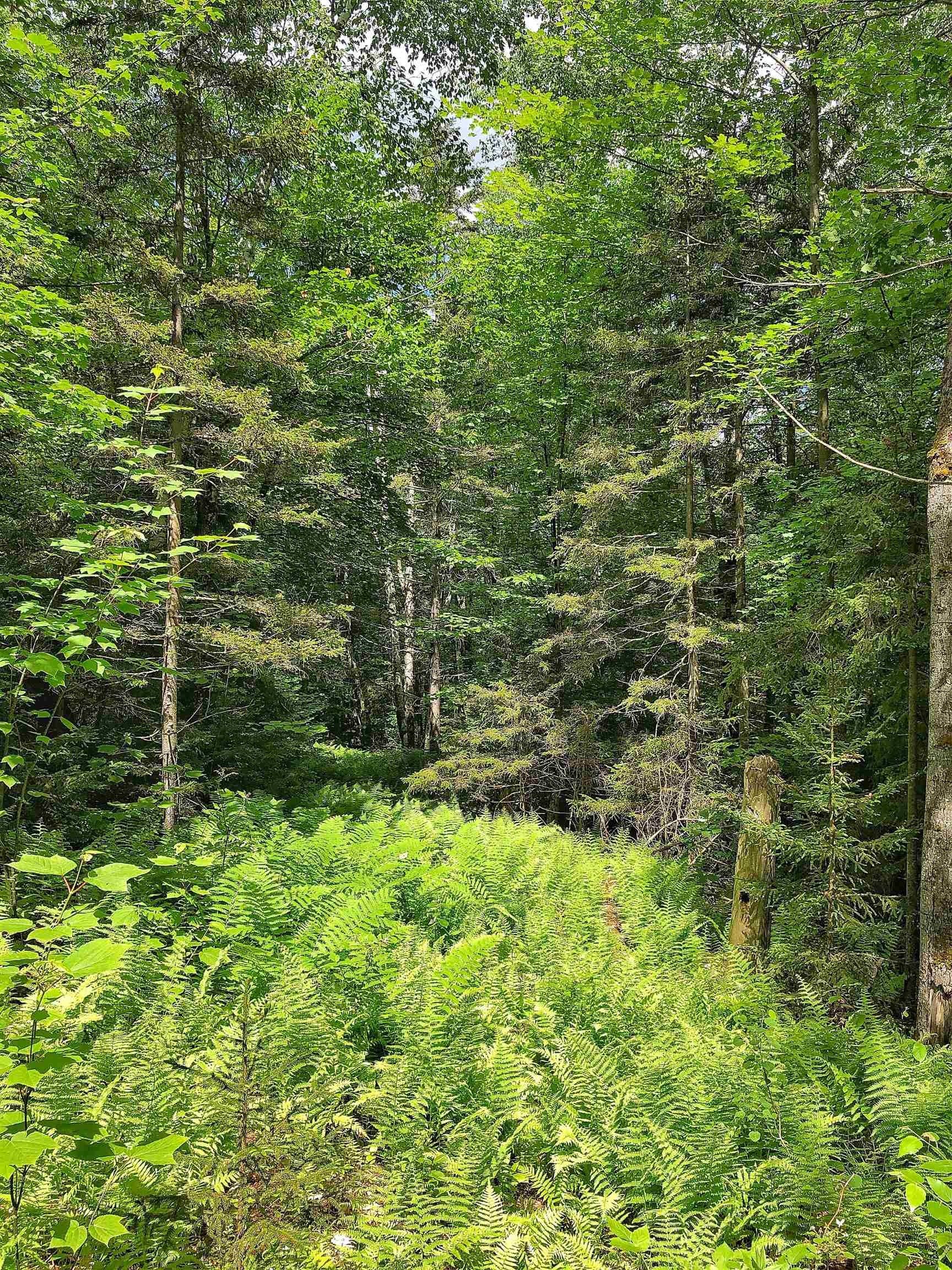 444 Town Line Road Granville, VT 05747 - Photo 1 of 1