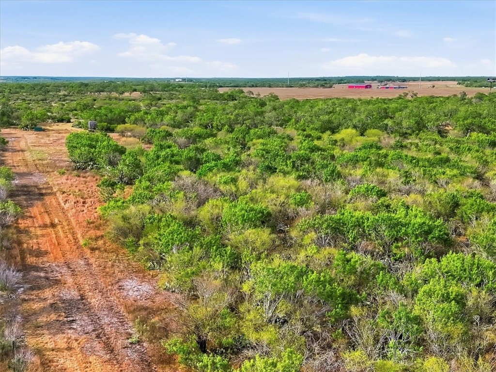 1991 South Highway 37 Three Rivers, TX 78071 - Photo 25 of 60 Gallery Image 25