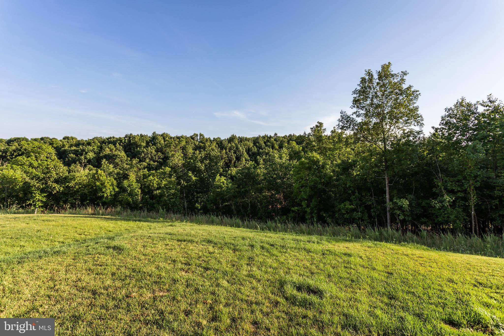 228 Patchwork Drive Stephenson, VA 22656 - Photo 2 of 33