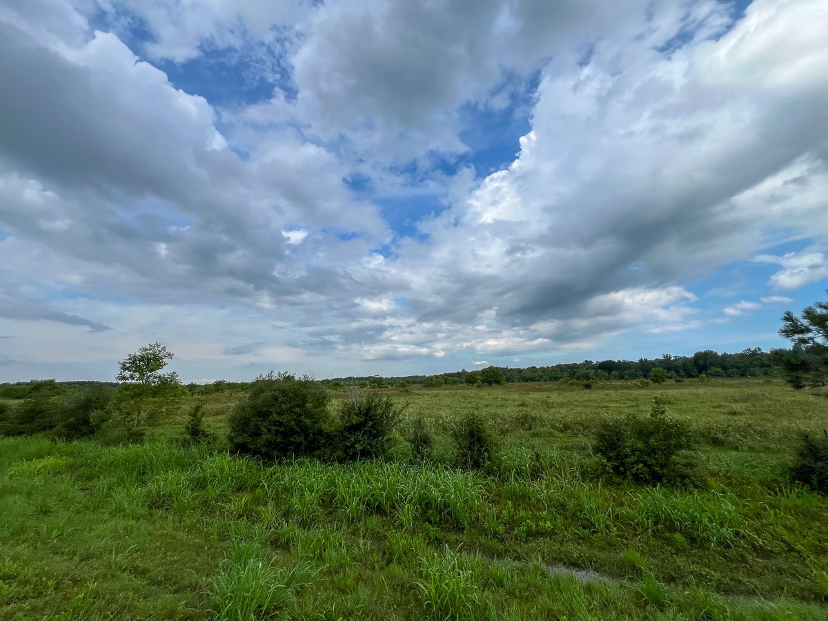 6 Fm 770 Liberty, TX 77575 - Photo 14 of 22 a view of a big yard with lots of green space
