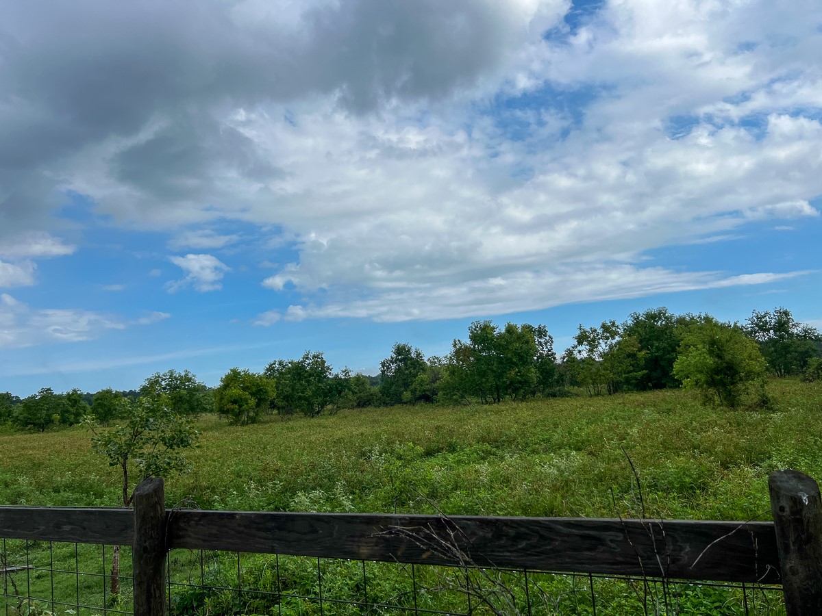 6 Fm 770 Liberty, TX 77575 - Photo 18 of 22 a view of a green field with lots of green space