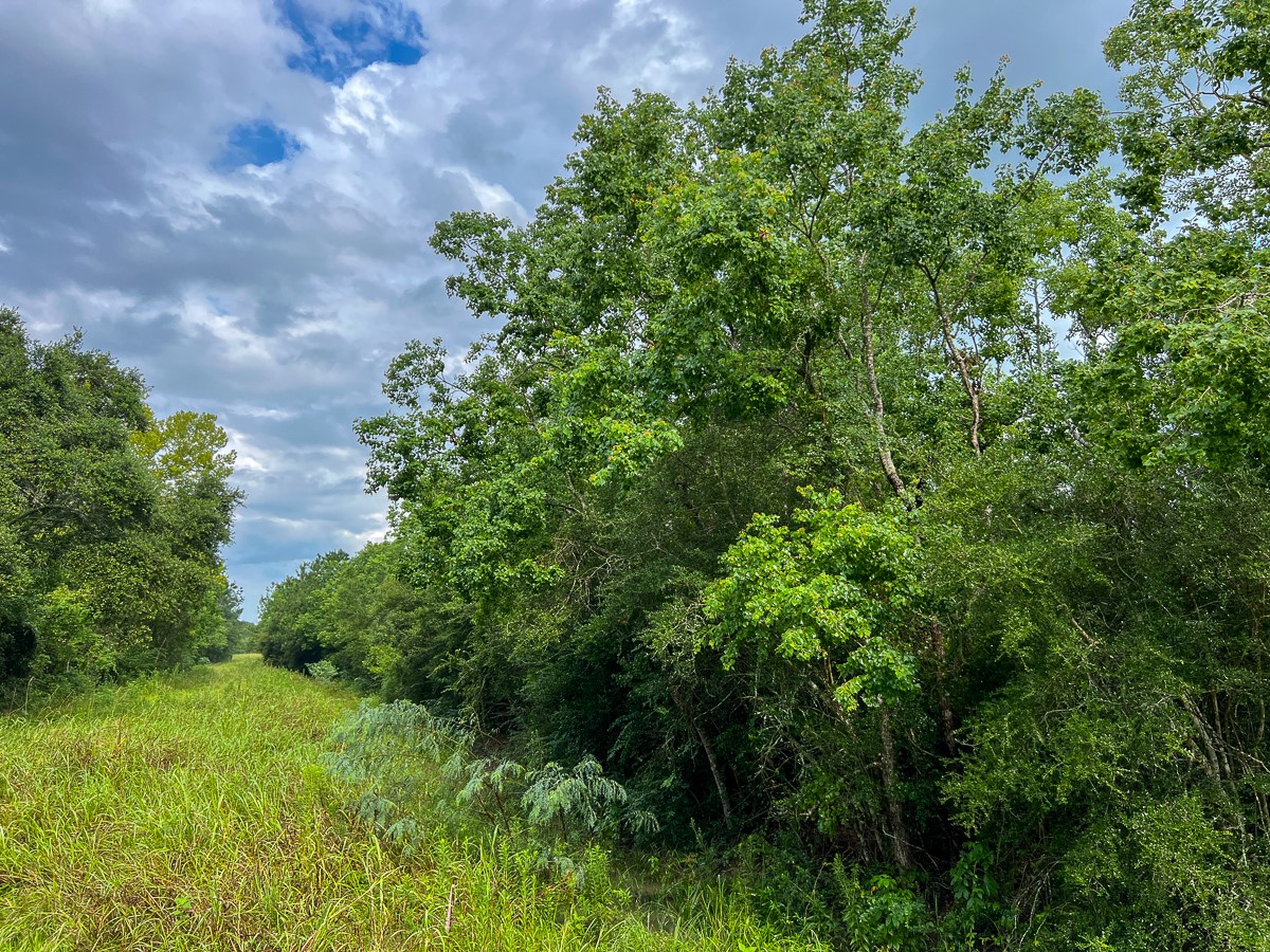 6 Fm 770 Liberty, TX 77575 - Photo 20 of 22 a view of a garden