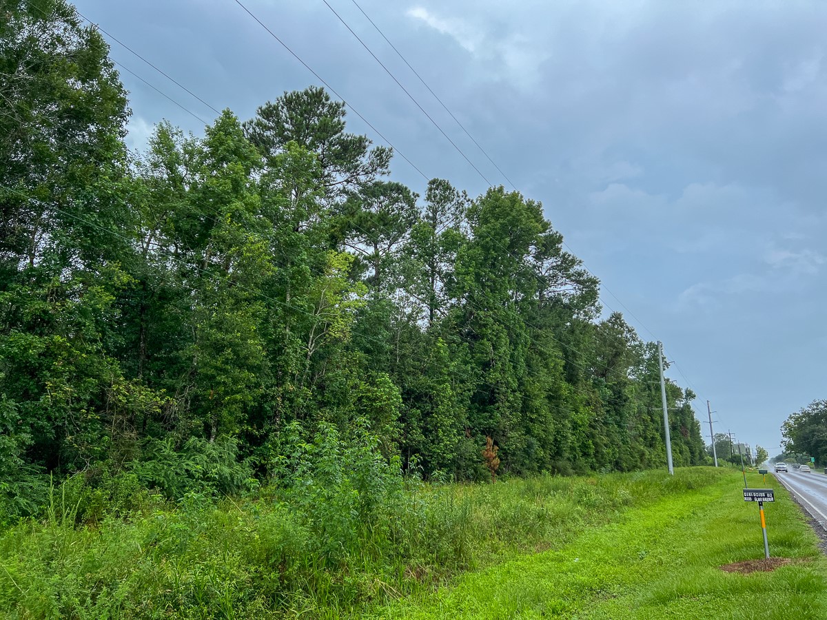 6 Fm 770 Liberty, TX 77575 - Photo 6 of 22 a view of a garden