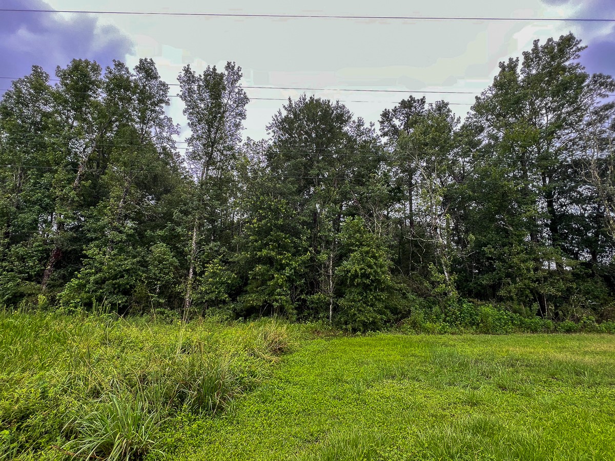 6 Fm 770 Liberty, TX 77575 - Photo 8 of 22 a view of a yard