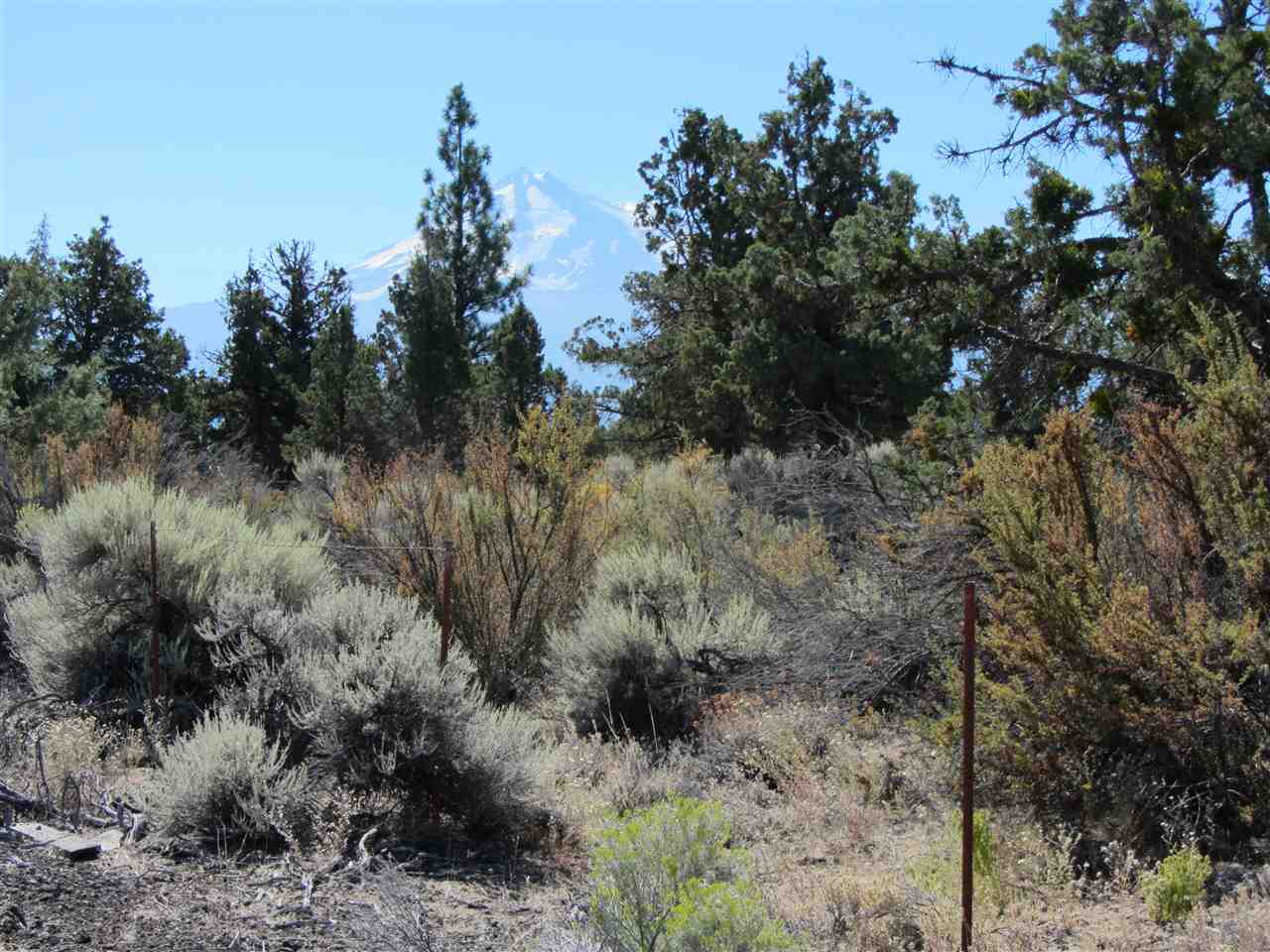 6 & 7 Marshall Road Montague, CA 96064 - Photo 1 of 1 Gallery Image 1