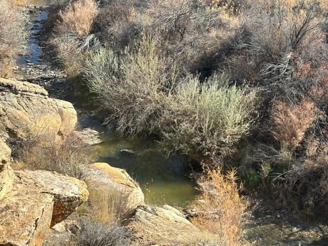 1155 Siminoe Road Whitewater, CO 81527 - Photo 2 of 18 Gallery Image 2