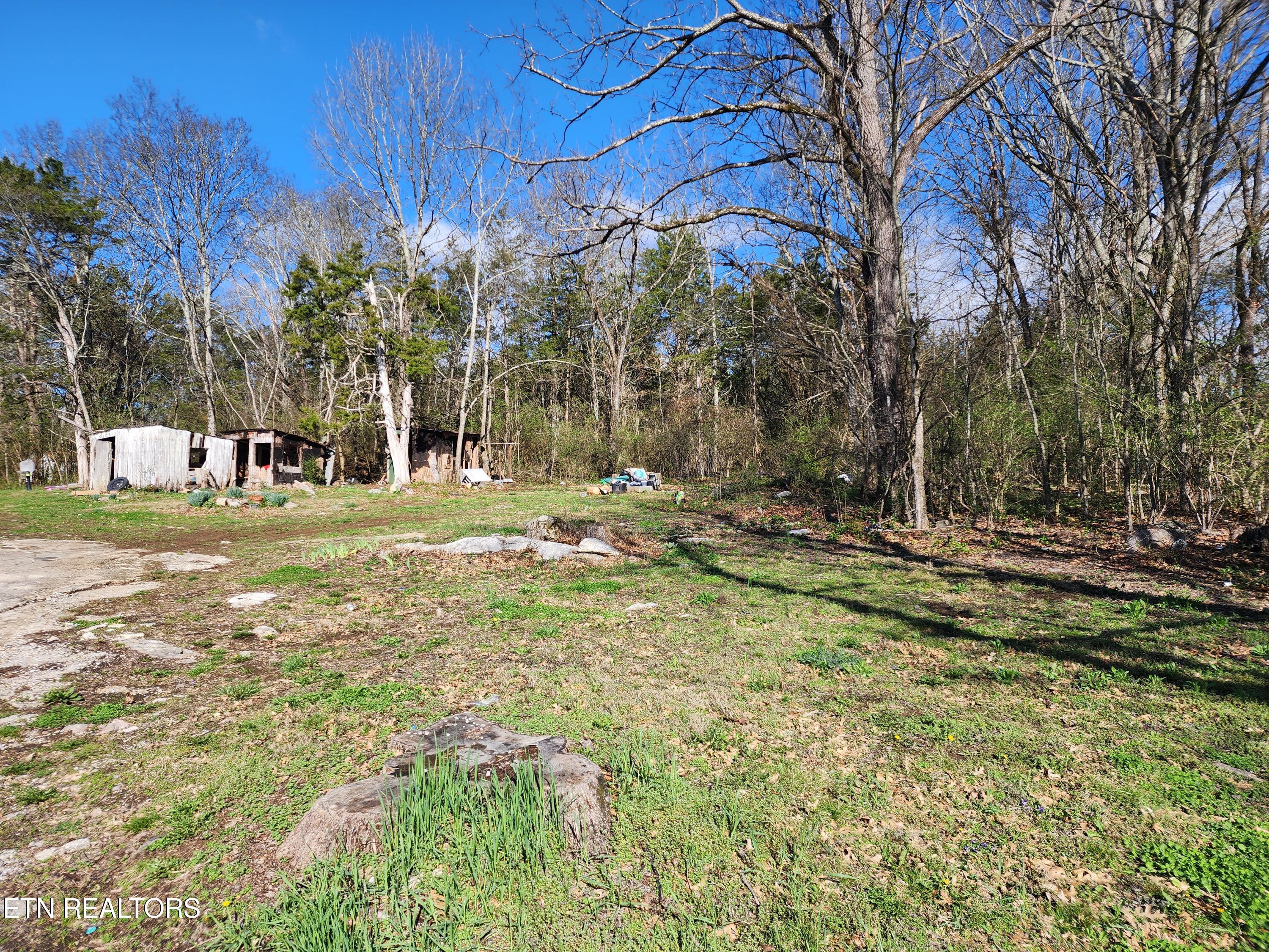 7915 Corryton Luttrell Road Corryton, TN 37721 - Photo 7 of 32 20240310_104653