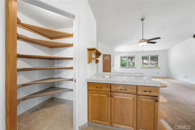 a view of a backyard with large trees and plants