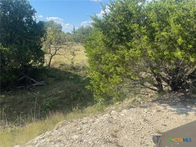 a view of a lake from a yard