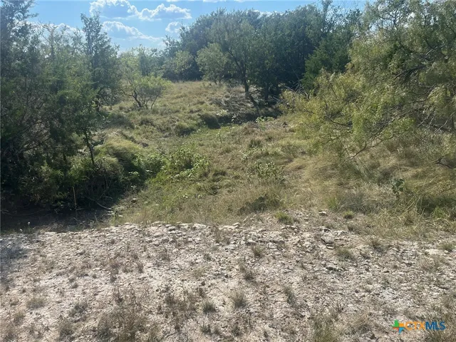 a view of a lake with a mountain