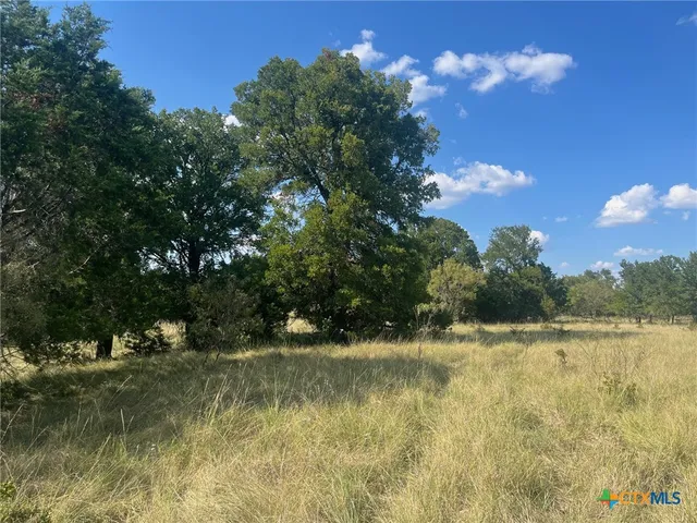 a view of a lake from a yard