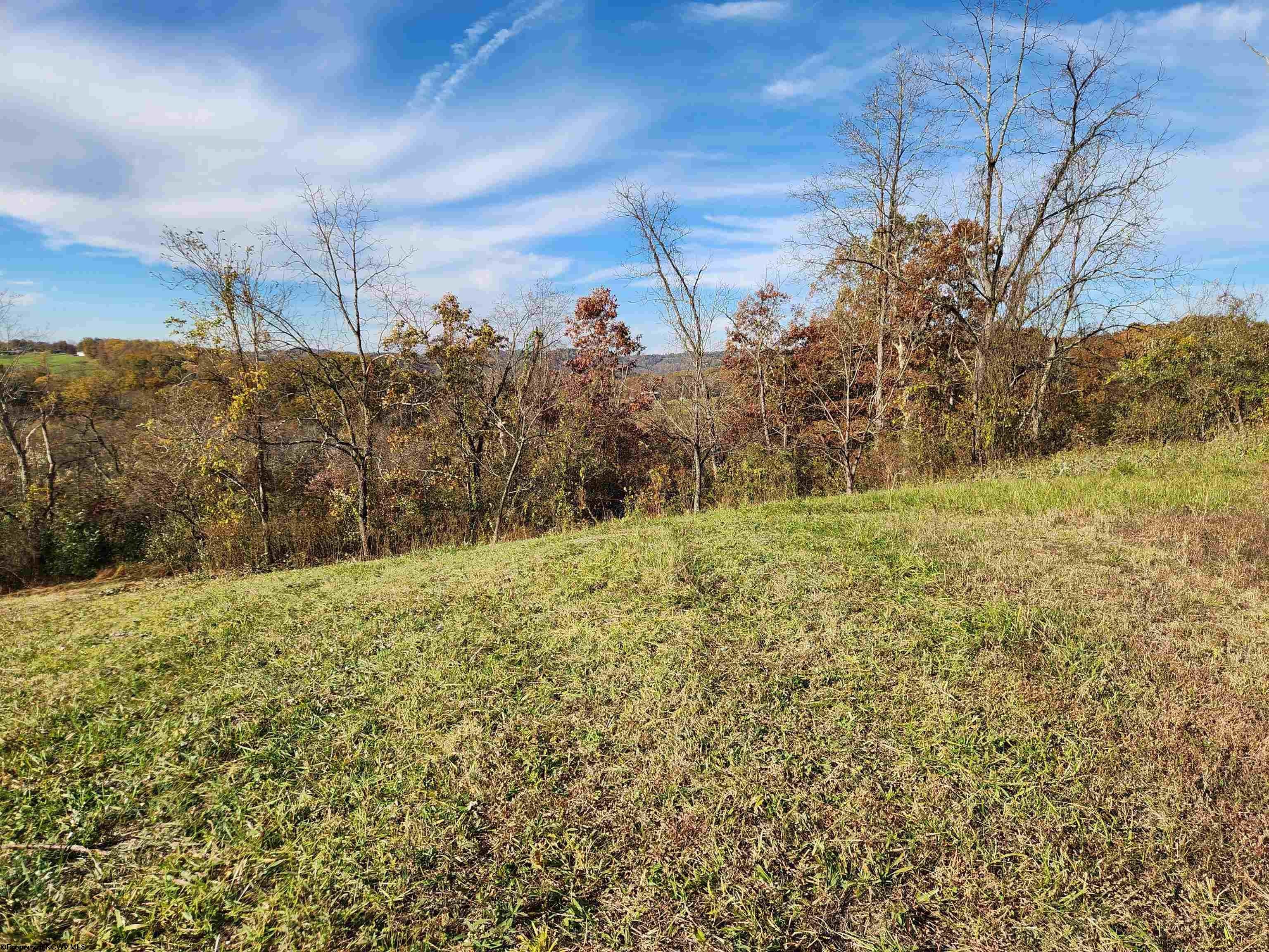 Tbd Hidden Valley Road Lost Creek, WV 26385 - Photo 12 of 13 Gallery Image 12