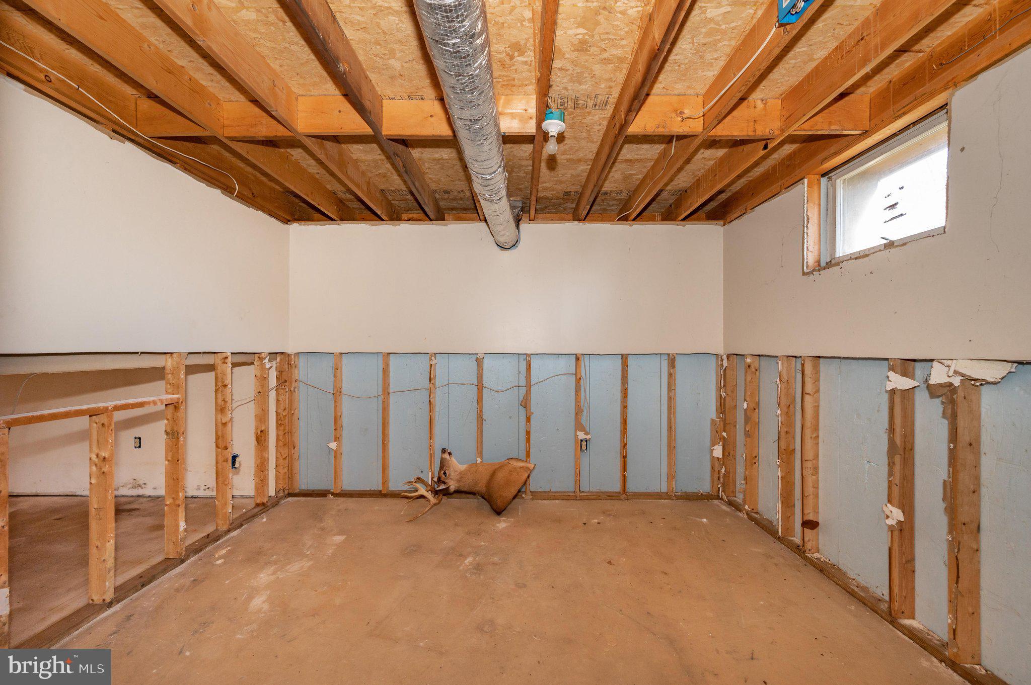 13835 Pryor Road Thurmont, MD 21788 - Photo 49 of 64 Lower Level