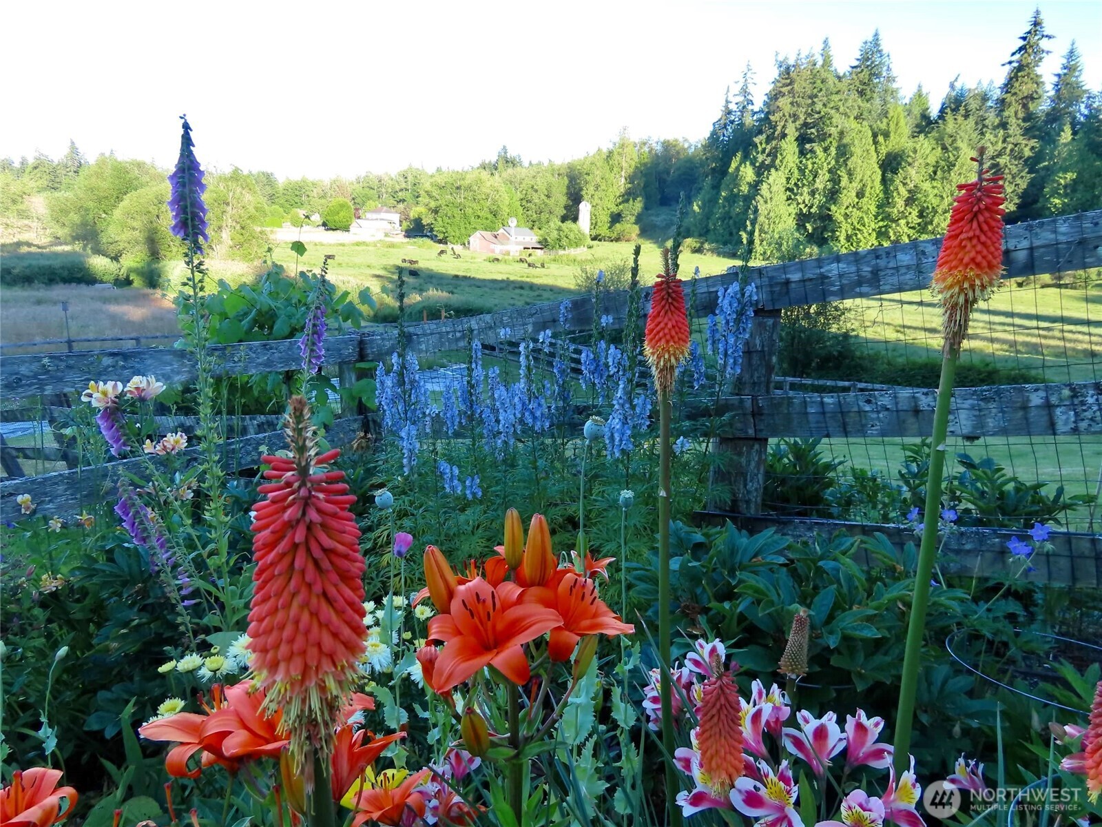 37695 Hansville Road Northeast Hansville, WA 98340 - Photo 11 of 37