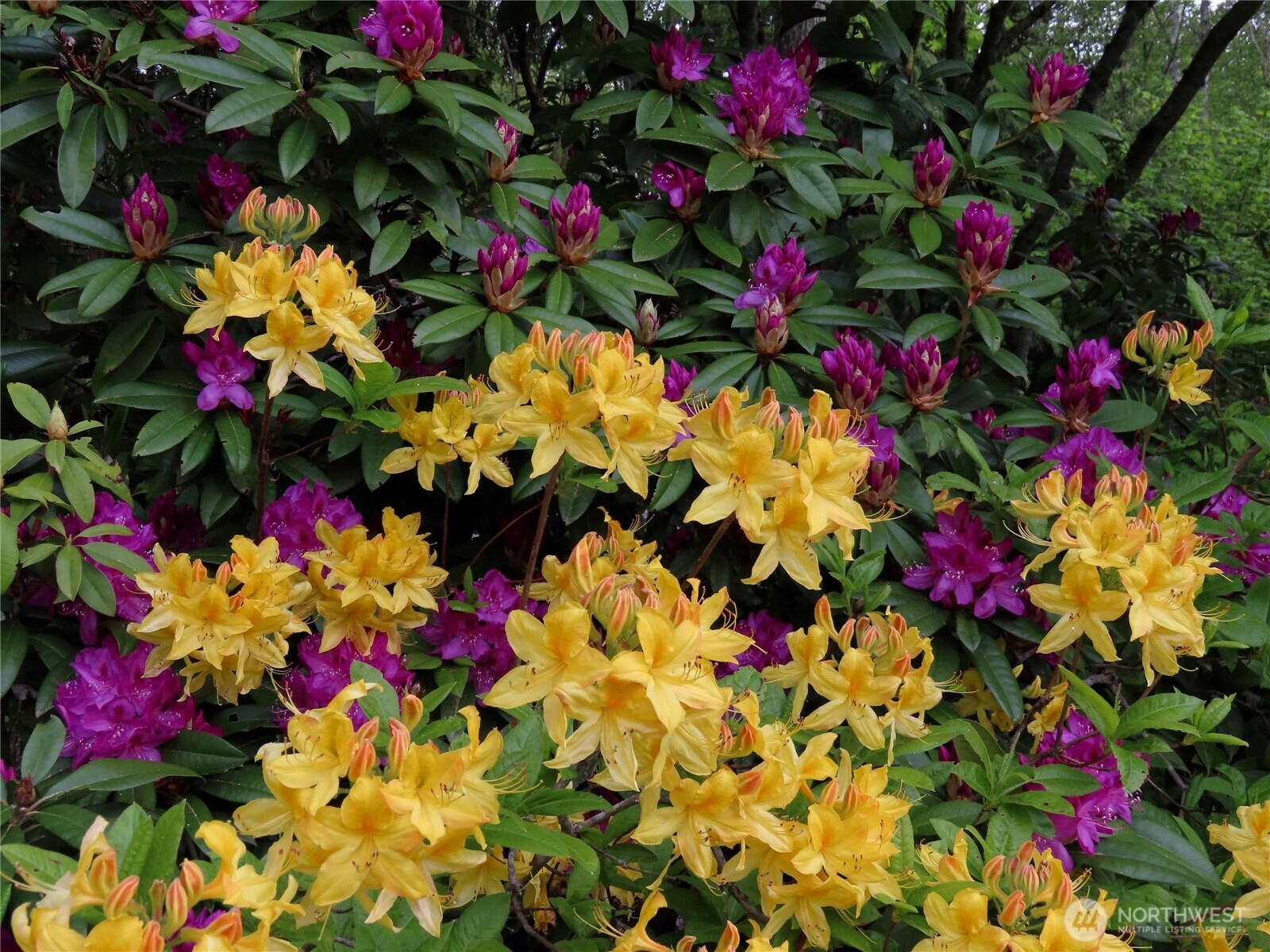 37695 Hansville Road Northeast Hansville, WA 98340 - Photo 26 of 37