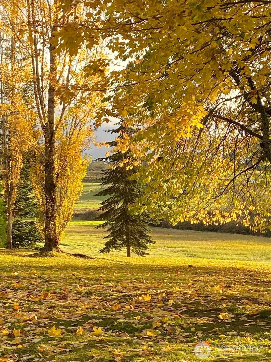 37695 Hansville Road Northeast Hansville, WA 98340 - Photo 28 of 37